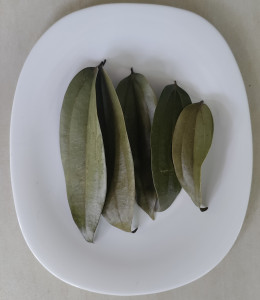 Ingred Fresh Quality Pure Bay Leaves Tej Patta Sabut